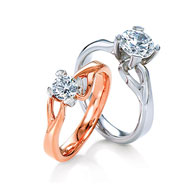 maevona-engagement-soay
