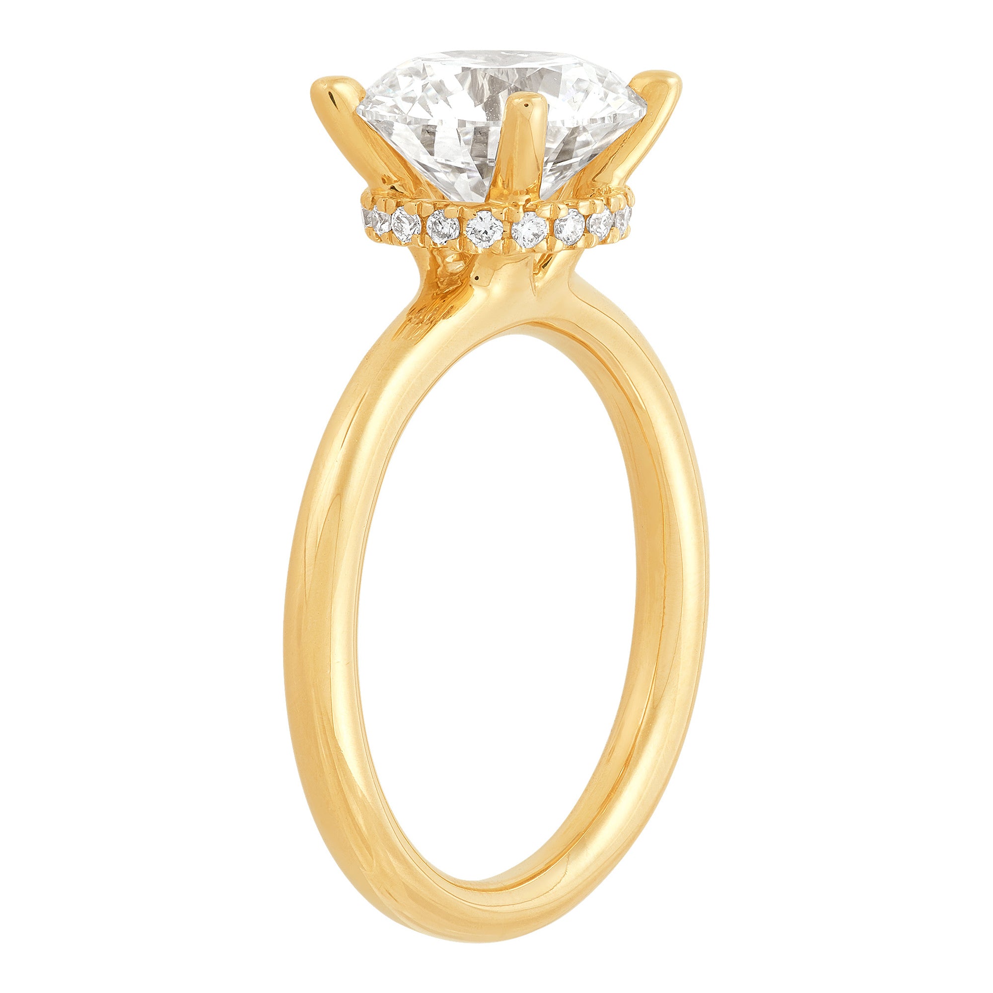 Hidden Halo Engagement Ring