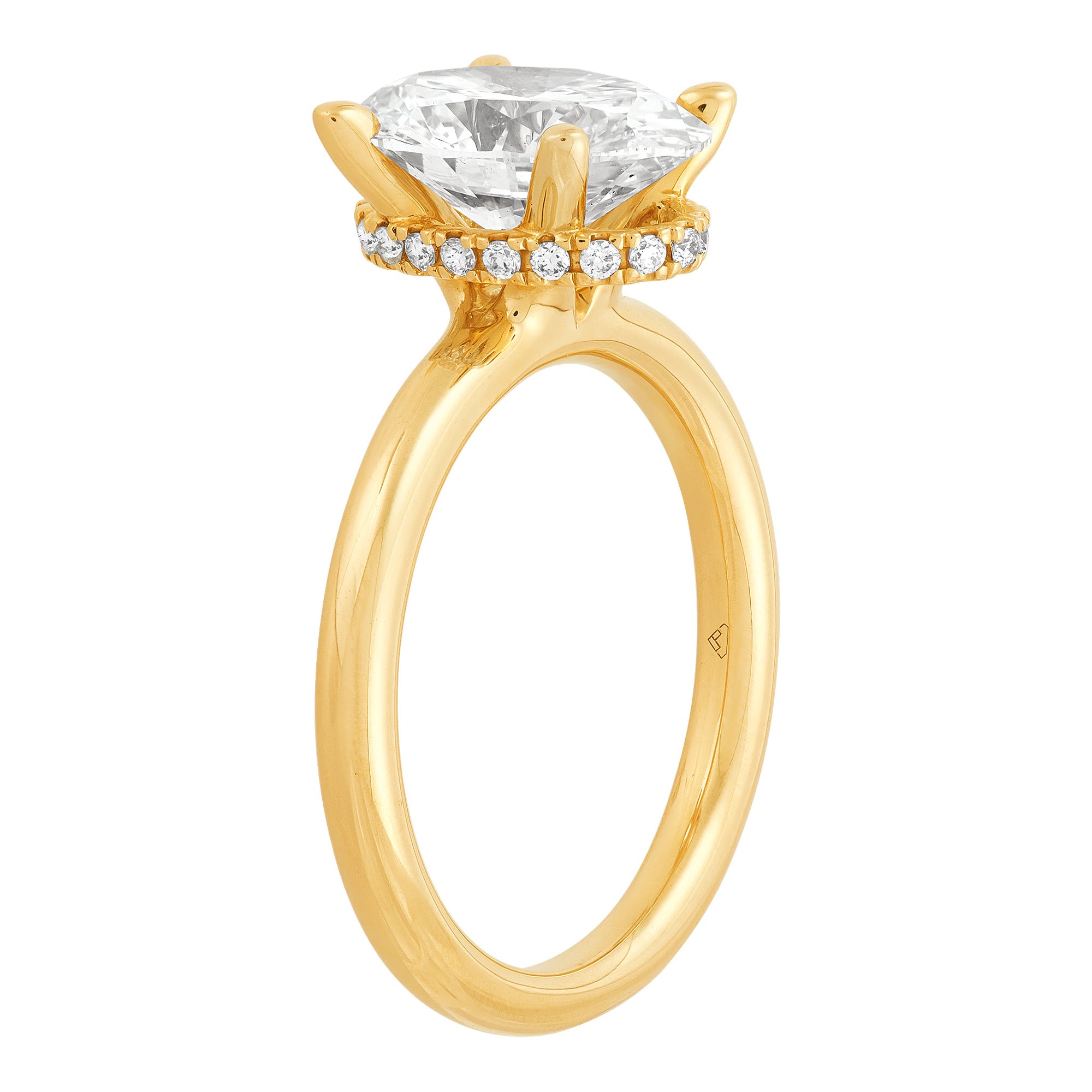 Hidden Halo Engagement Ring