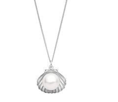 SS Pearl and Shell Pendant