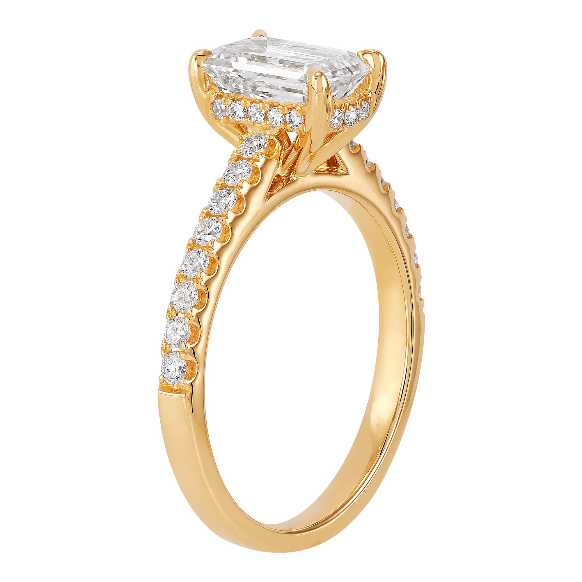 Hidden Halo Engagement Ring