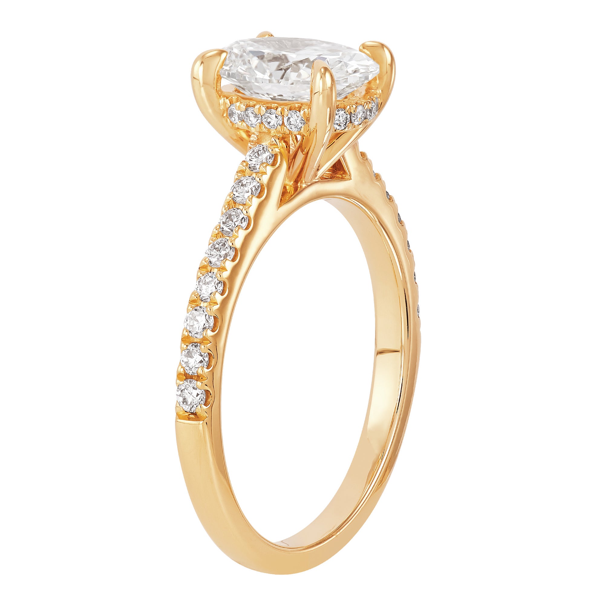 Hidden Halo Engagement Ring