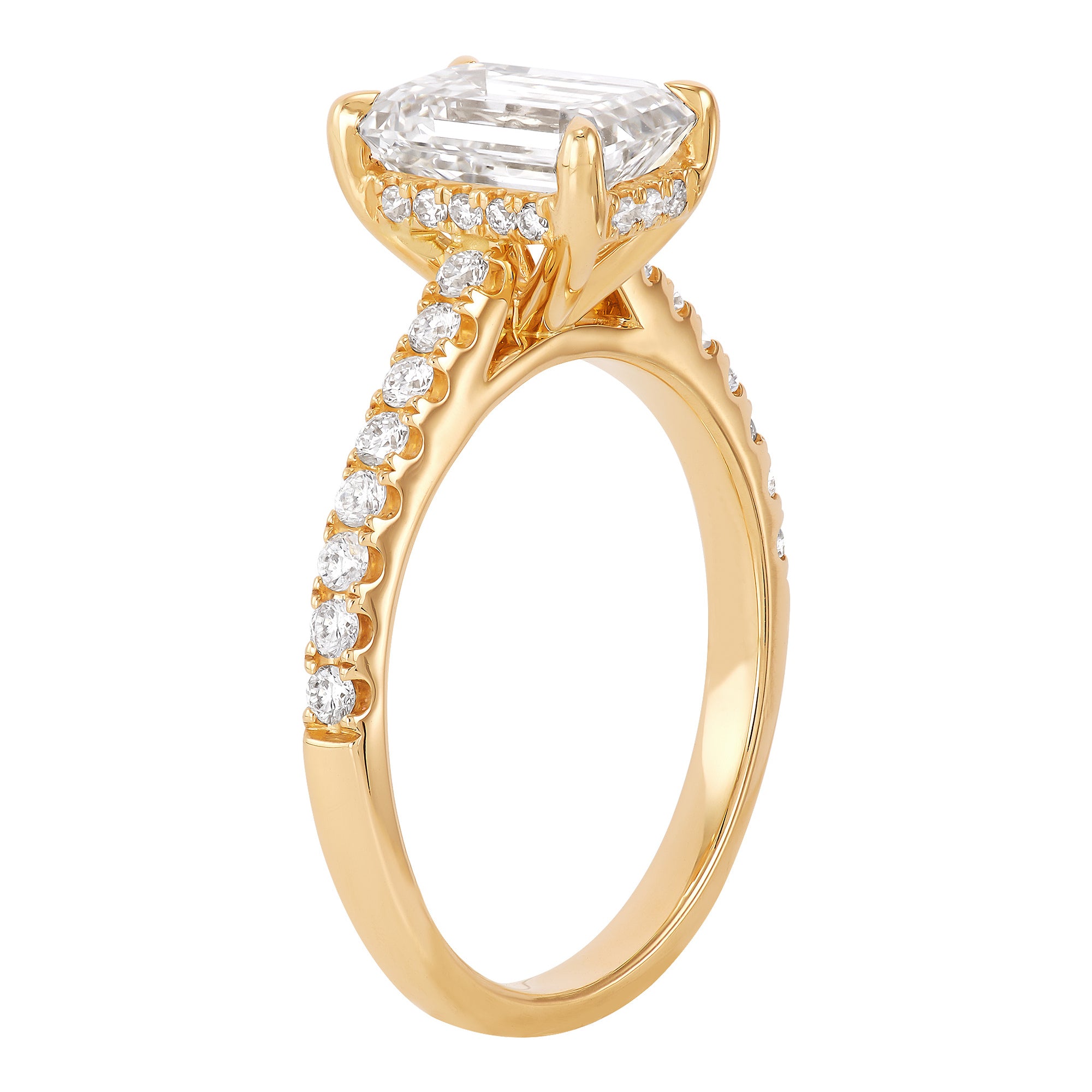 Hidden Halo Engagement Ring