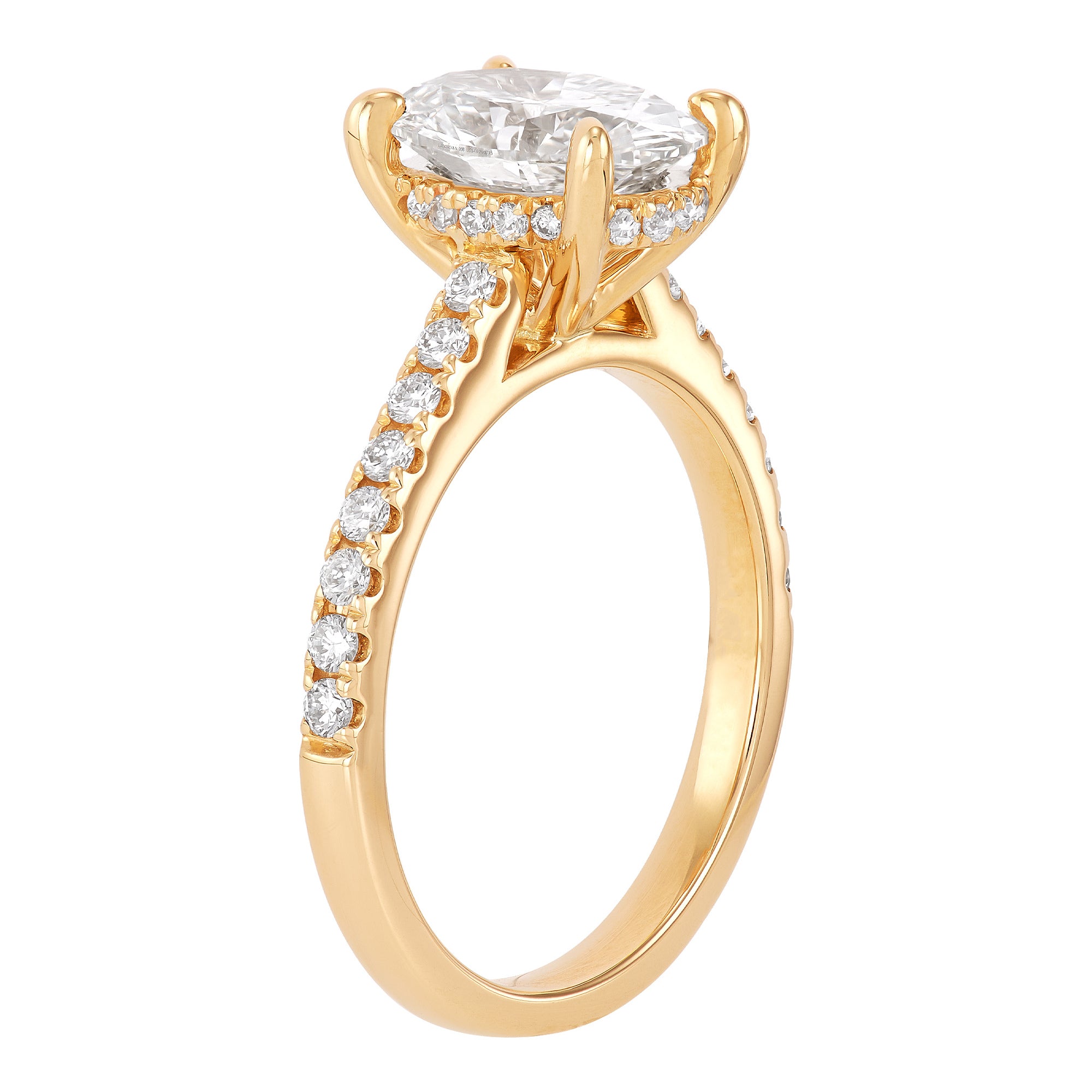 Hidden Halo Engagement Ring