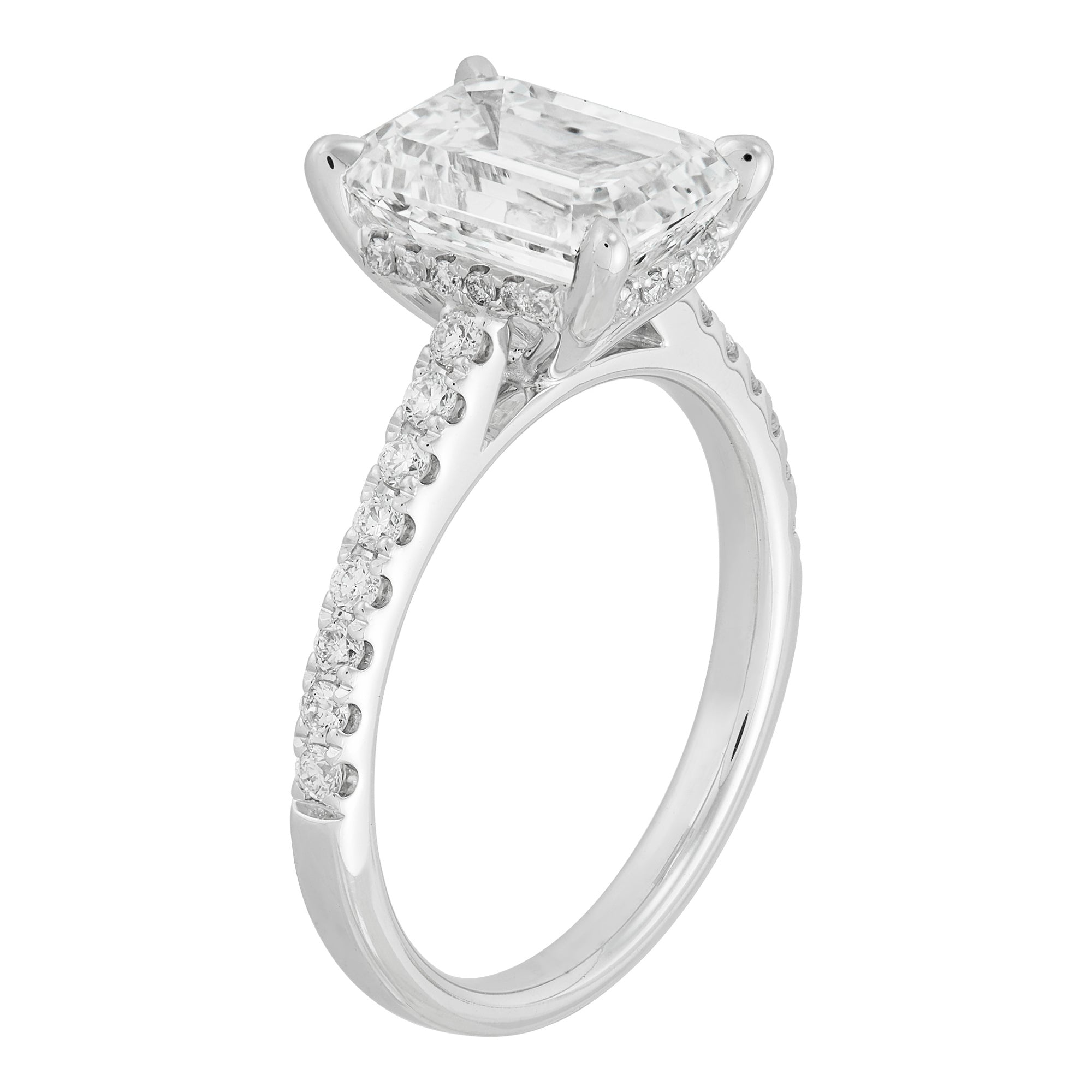 Hidden Halo Engagement Ring