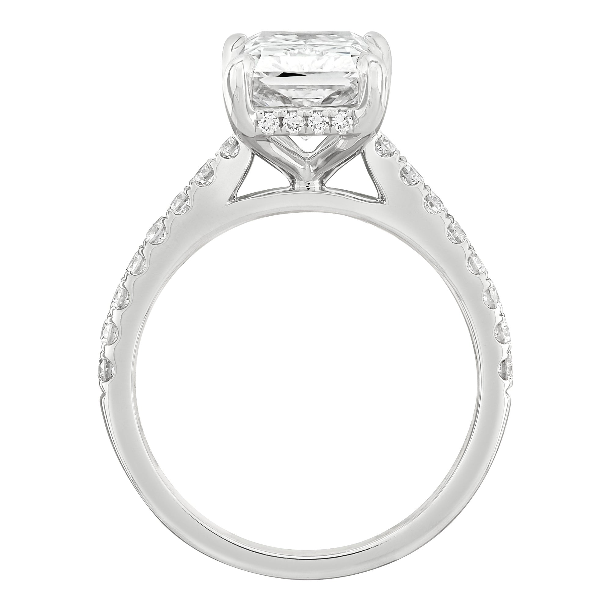Hidden Halo Engagement Ring