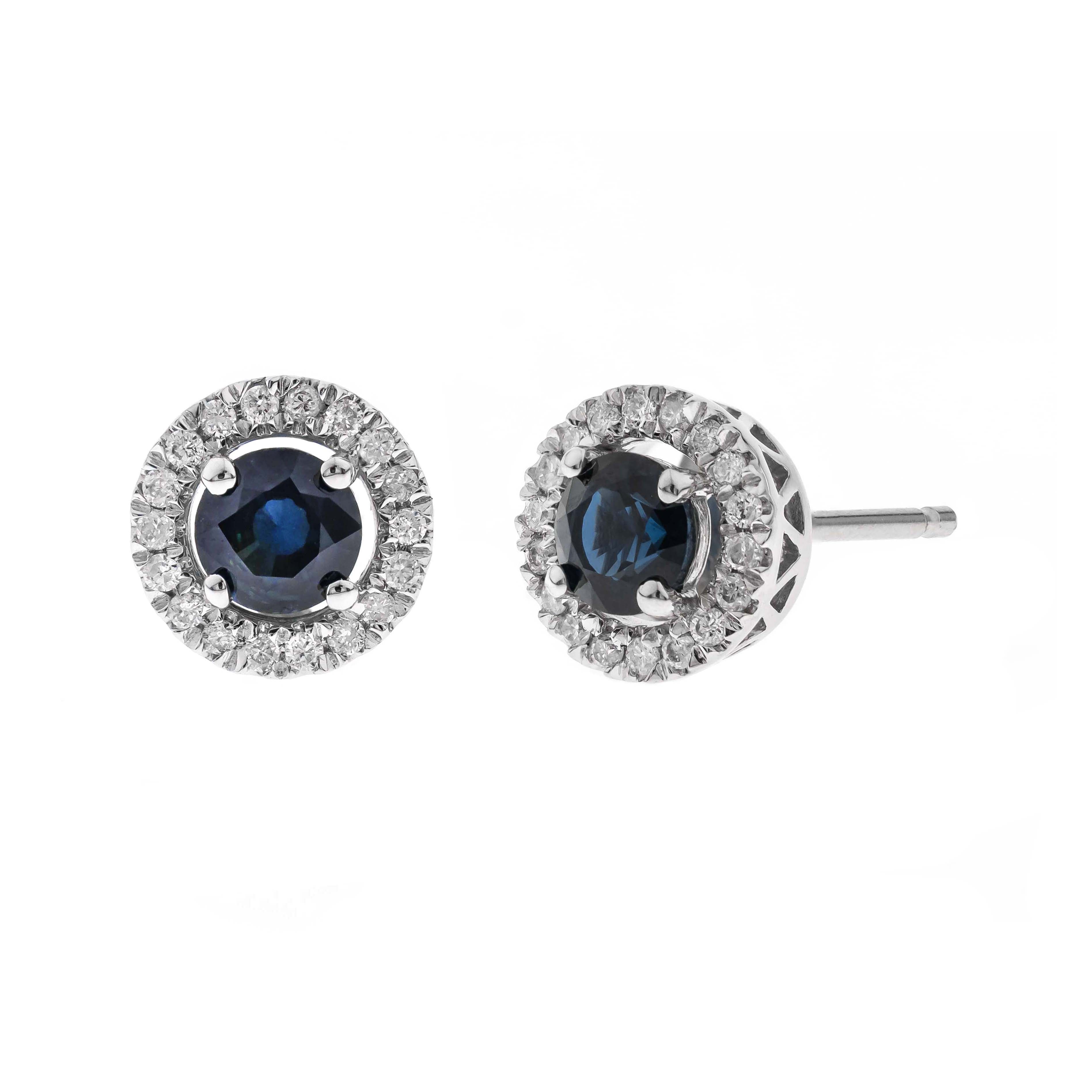 10K White Gold Sapphire and Diamond Halo Stud Earrings