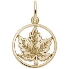 Gold Charms