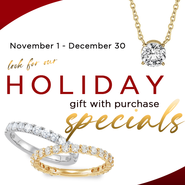 Make Your Holiday Season Sparkle with A Limited Time Offer