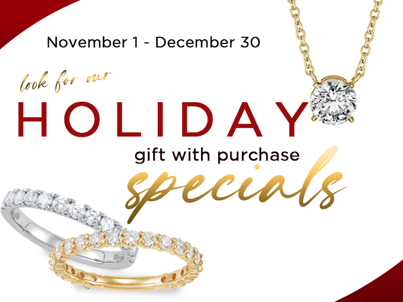 Make Your Holiday Season Sparkle with A Limited Time Offer